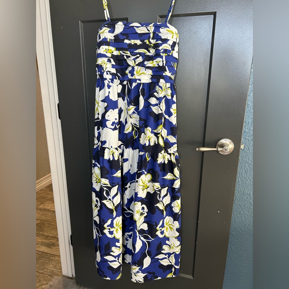 Evereve dress!